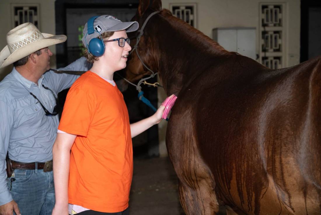 A teen wearing ear defenders brushing a horse